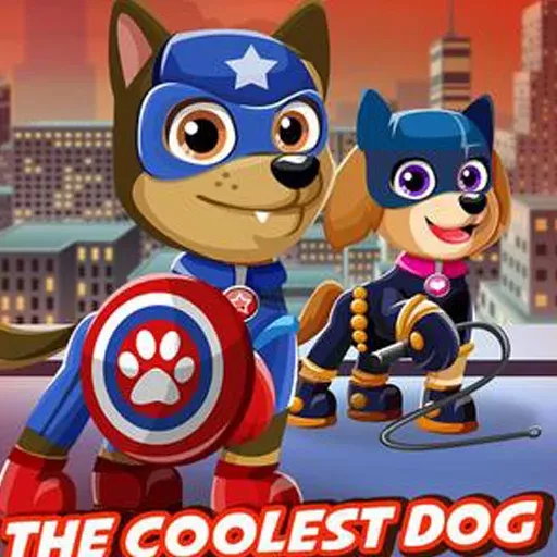 paw patrol superhero dress up 